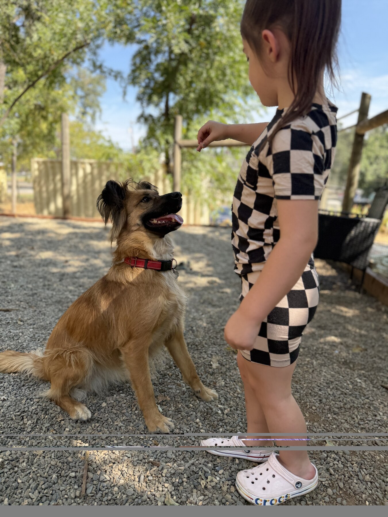 A young person spending time with a FOAC dog
