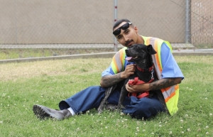 A PUPP handler sitting on the grass and holding a black dog