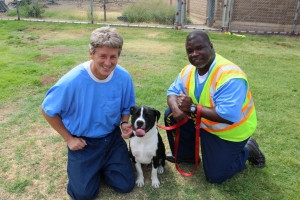 Two PUPP handlers kneeling beside a black and white dog