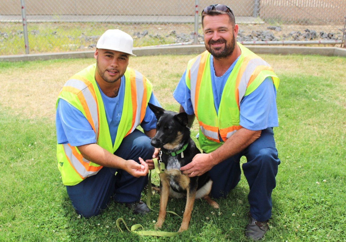 Two PUPP handlers kneeling beside a black and tan dog